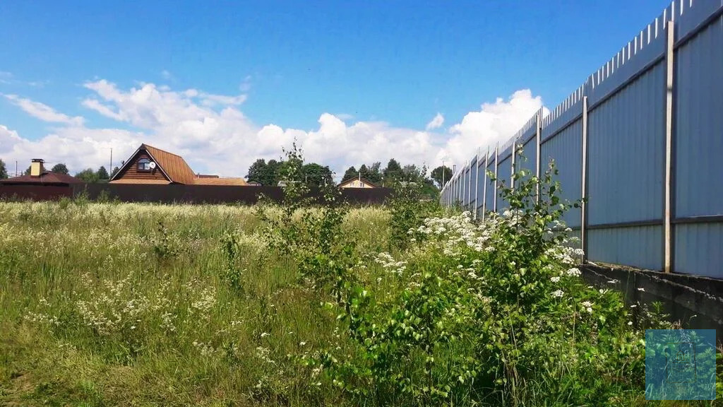 земля городской округ Солнечногорск д Болкашино Ленинградское фото 9