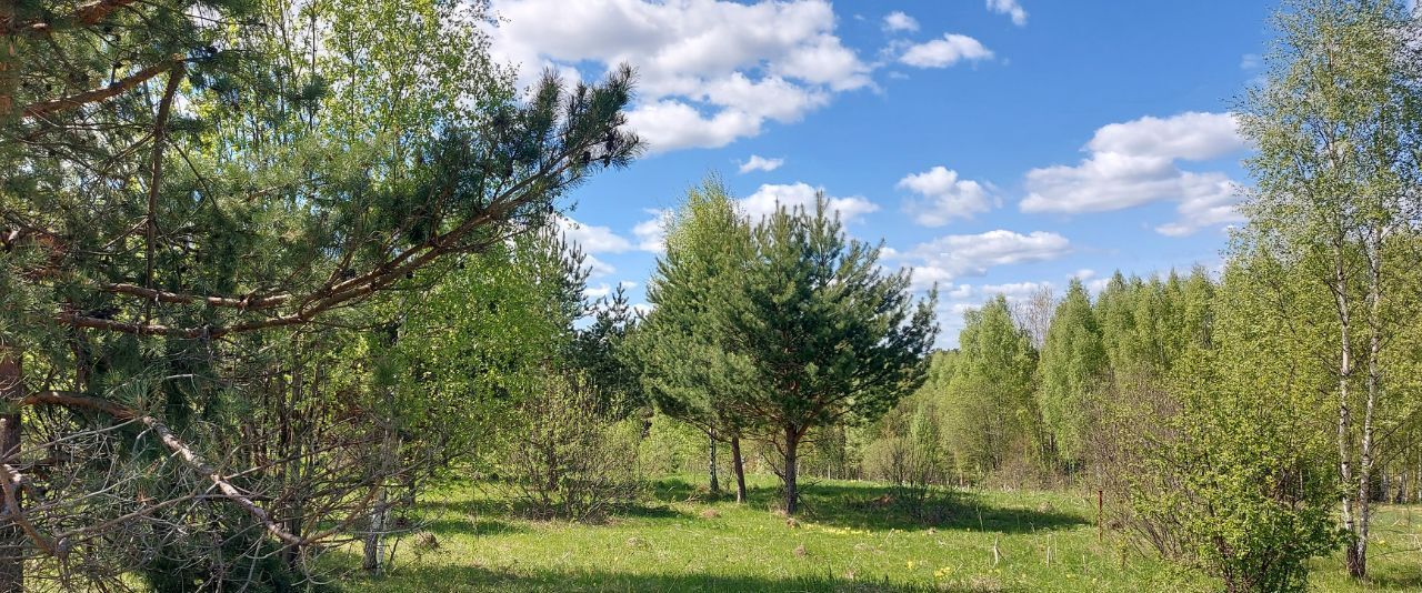 земля р-н Заокский Страховское муниципальное образование, Пашково Клаб кп фото 3