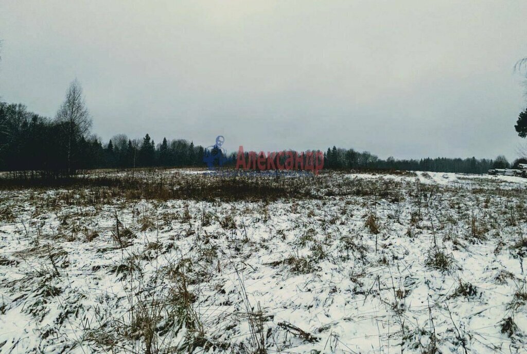 земля р-н Лужский п Володарское Володарское сельское поселение фото 3