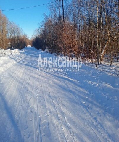 ул Дача Охотников Выборгское городское поселение фото