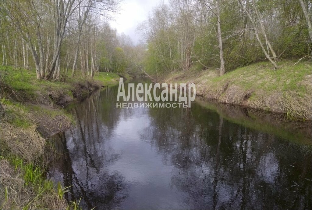 земля р-н Волховский д Низино Селивановское сельское поселение фото 1