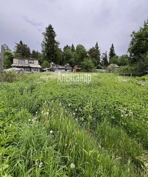 земля р-н Выборгский п Красная Долина Приморское городское поселение фото 10