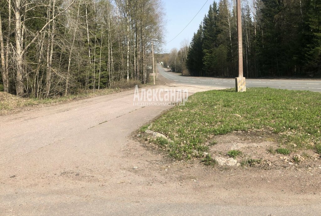 земля р-н Выборгский п Селезнево ул Лесная Селезнёвское сельское поселение фото 14