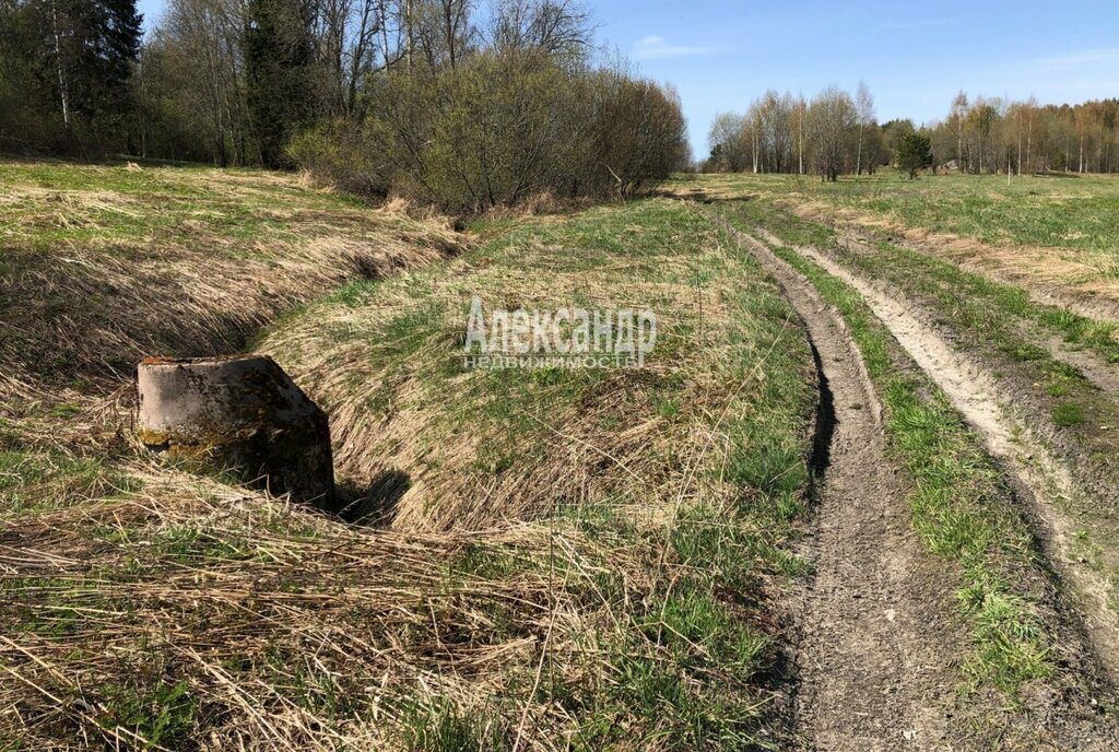 земля р-н Выборгский п Селезнево ул Лесная Селезнёвское сельское поселение фото 17