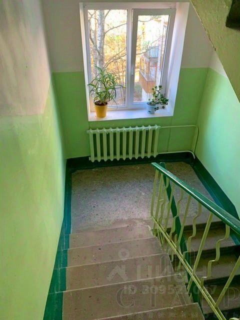 квартира г Пушкин б-р Алексея Толстого 24 р-н Пушкинский Пушкин, Ленинградская область фото 13