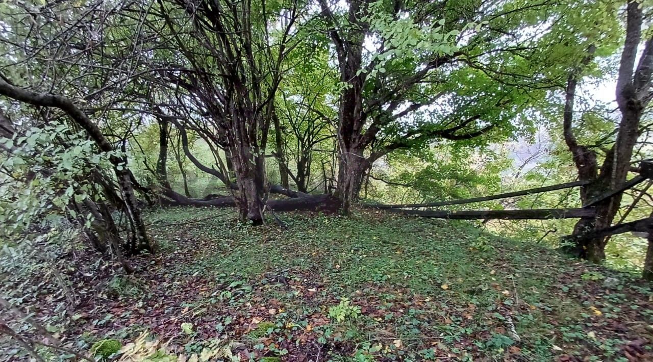 земля р-н Майкопский ст-ца Даховская фото 2