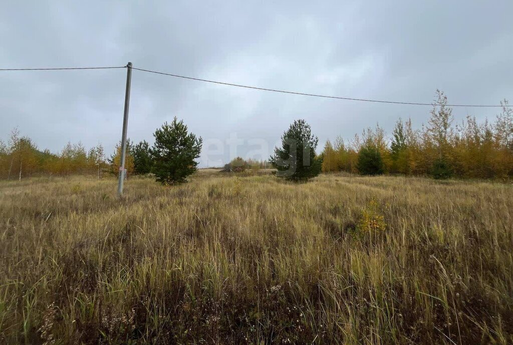 земля городской округ Луховицы п Сельхозтехника фото 3