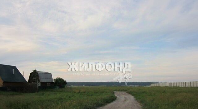 д Бердь сельсовет, Мичуринский фото