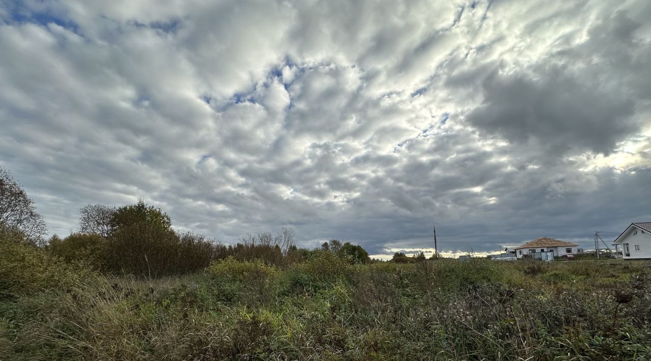 земля р-н Гатчинский Тайцы городской поселок, ул. Пригородная фото 4