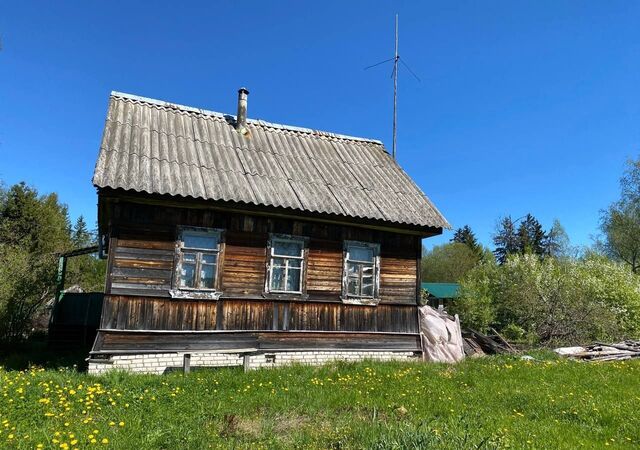 п Сусанино пр-кт Лермонтовский 10 36 км, Гатчинский муниципальный округ, Вырица, Киевское шоссе фото