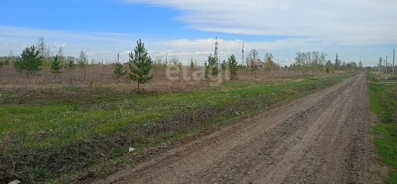 земля р-н Первомайский п Новый микрорайон Александрова слобода фото 3