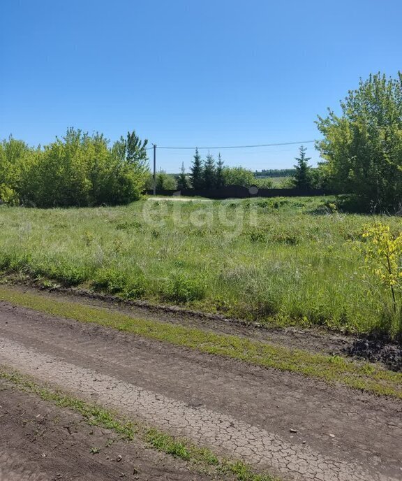 земля р-н Мокшанский с Рамзай сельсовет, Рамзайский фото 8