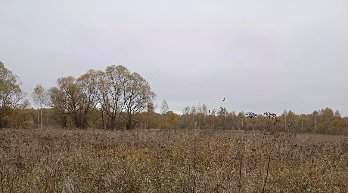 офис городской округ Серпухов д Новики фото 1