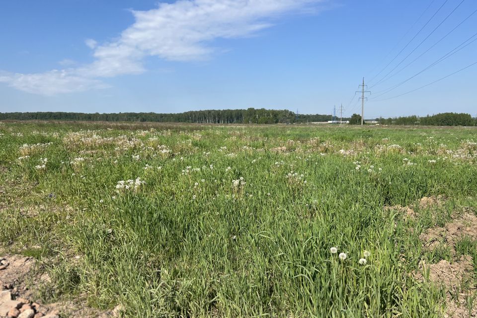 земля г Домодедово Барыбино м-н, Домодедово городской округ фото 4