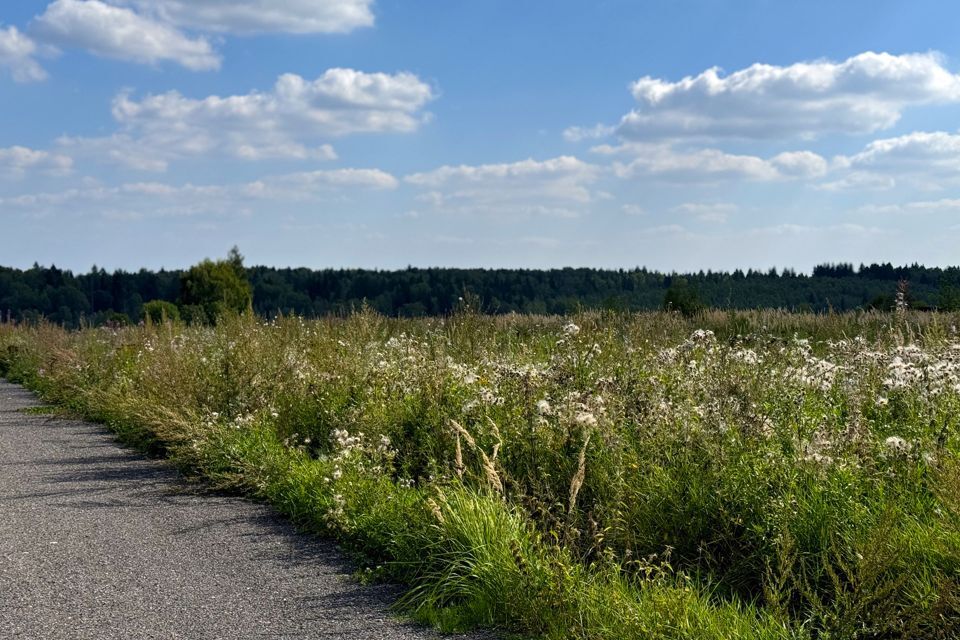 земля городской округ Дмитровский фото 3