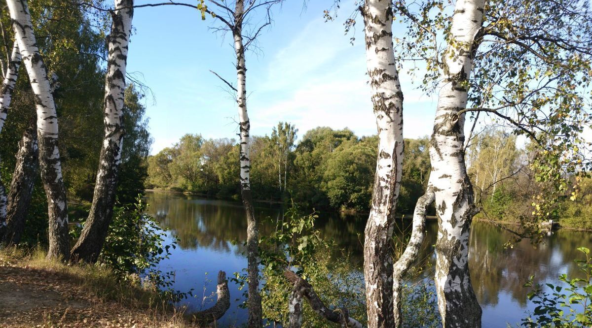 дом городской округ Раменский д Василево фото 6