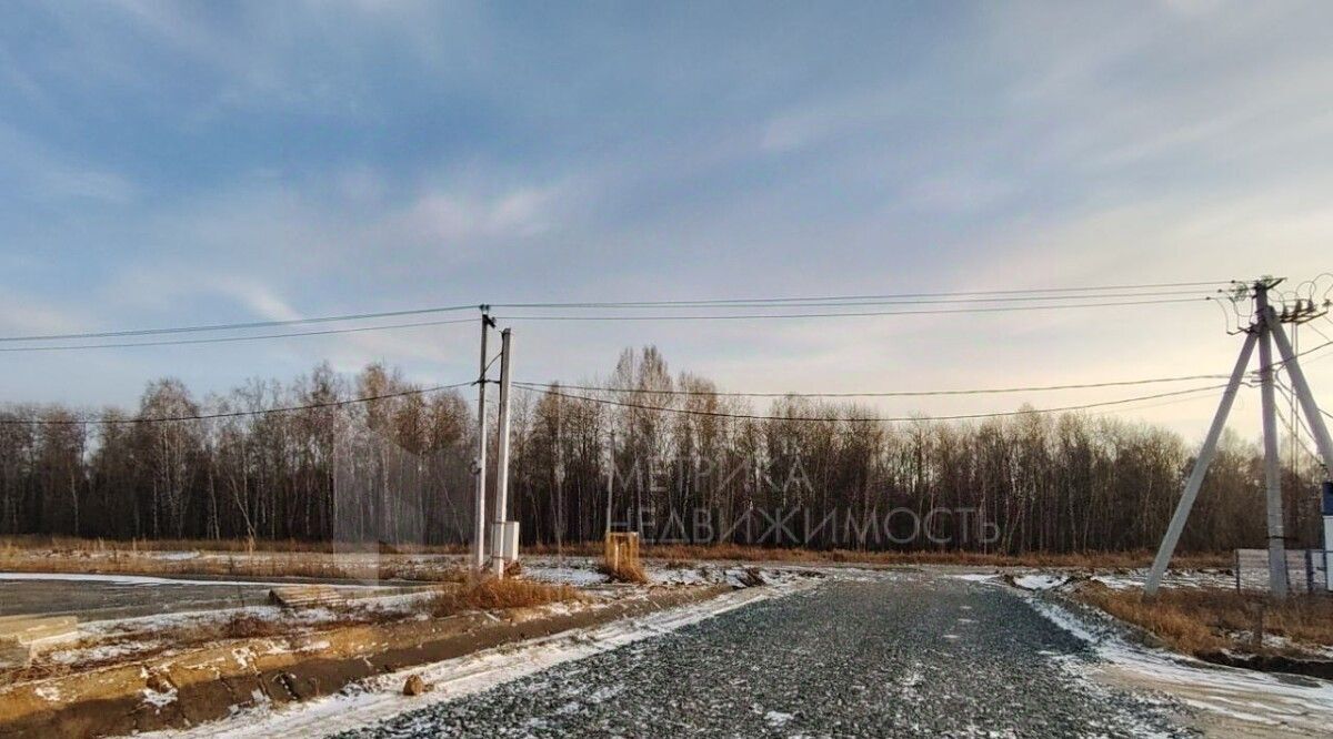 земля р-н Тюменский д Падерина ул. Г. Л. Мерабишвили фото 4