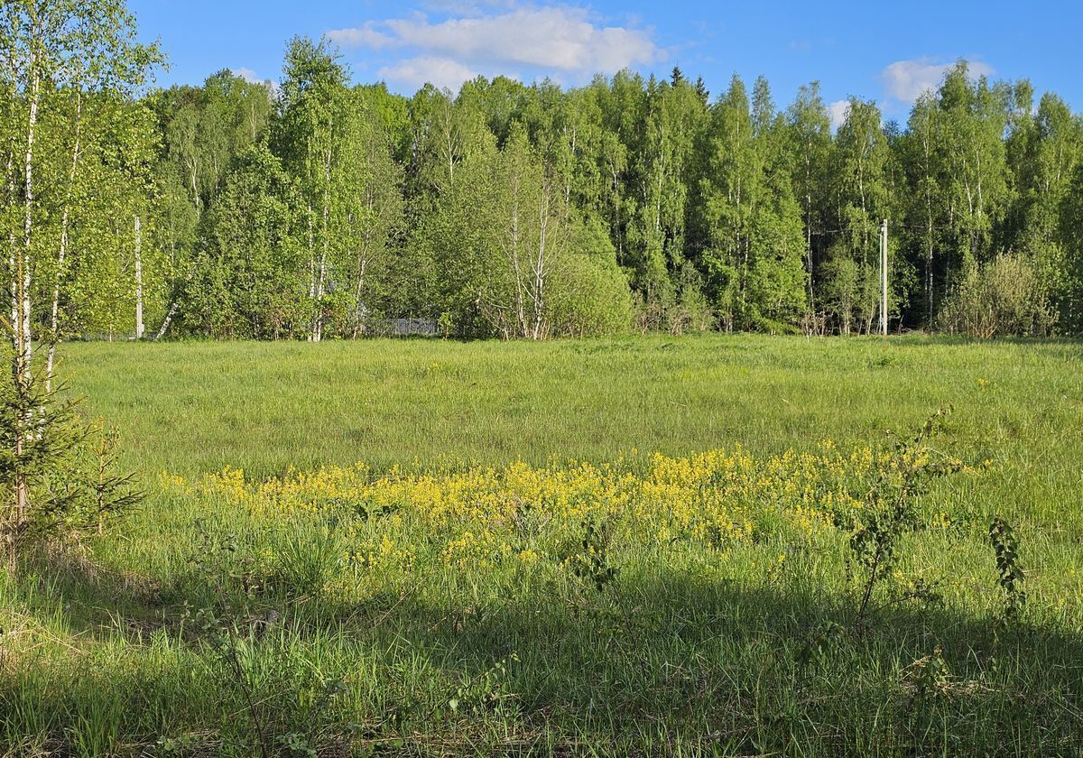 земля направление Рижское (северо-запад) ш Новорижское 119 км, коттеджный пос. Новорижское взморье, Шаховская фото 9