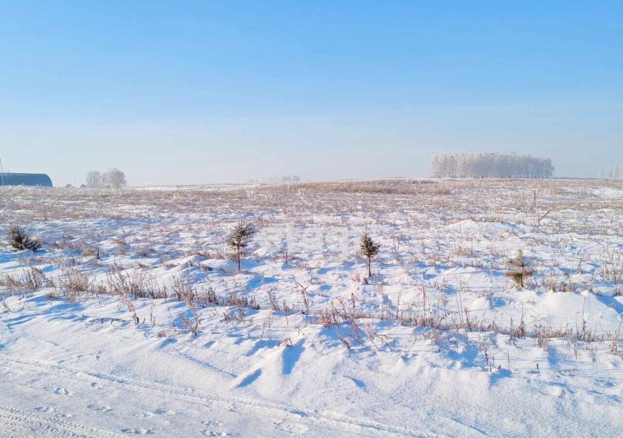 земля р-н Емельяновский с Дрокино ул Советская сельсовет, Красноярск, Солонцовский фото 7