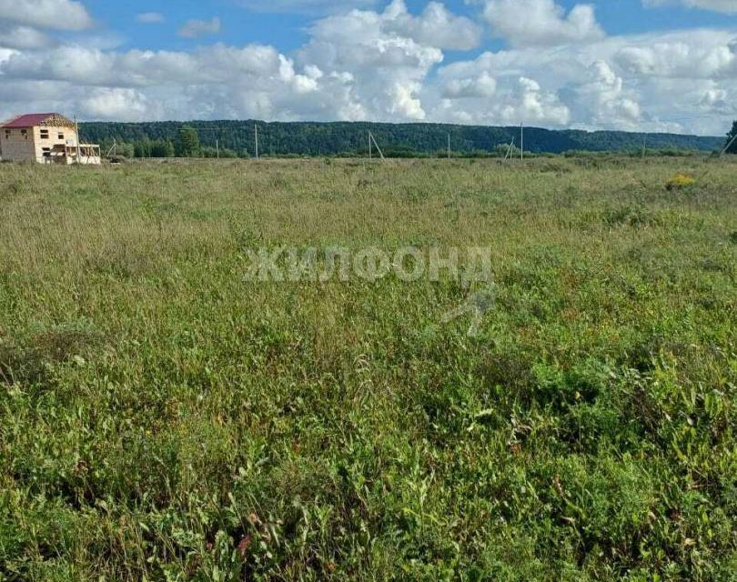 земля р-н Томский снт тер.Стрижи Магистральная фото 3