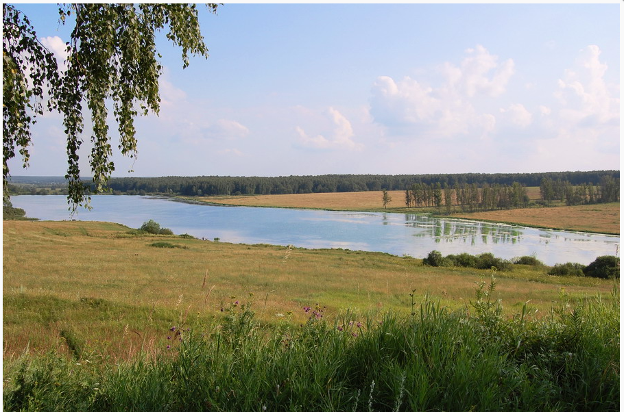 земля Тула городской округ, Архангельские сады фото 2