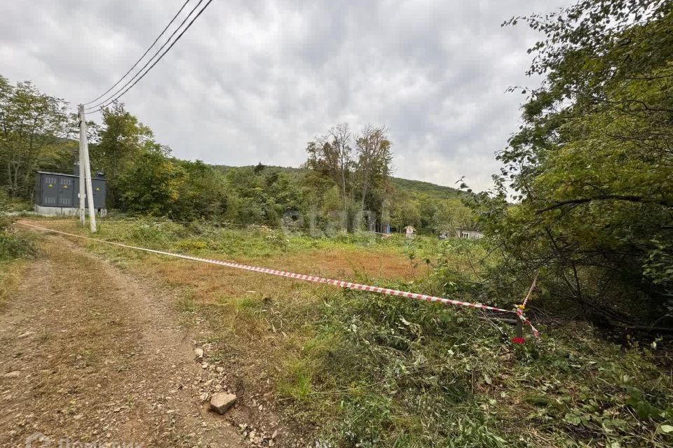 земля Владивостокский городской округ, дачный массив Синяя Сопка, СНТ Витязь фото 1