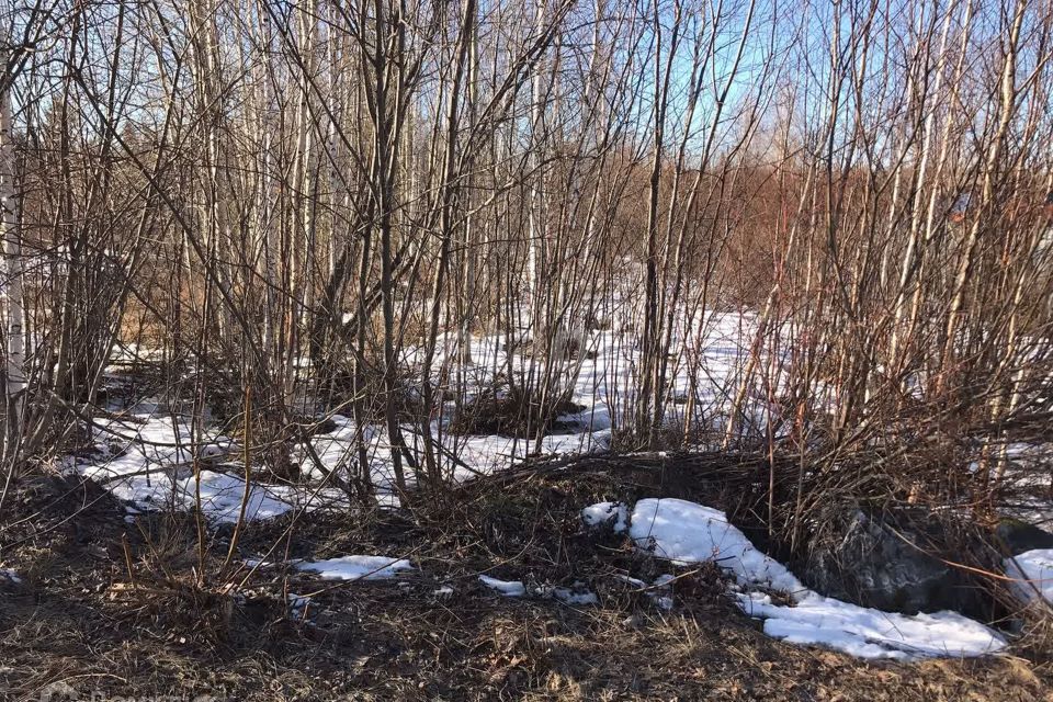 земля городской округ Нижний Тагил, СНТ № 15 фото 7