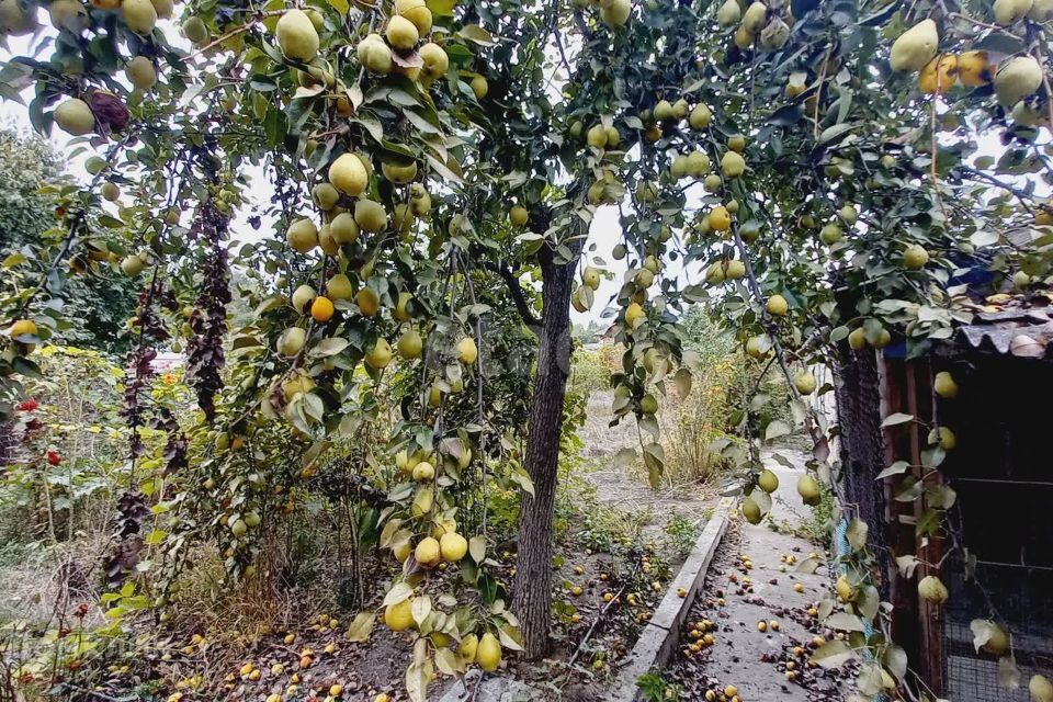 дом г Прохладный ул Пролетарская городской округ Прохладный фото 6