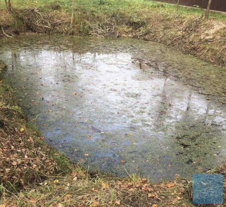 земля городской округ Солнечногорск д Хметьево снт Луч Зеленоград — Крюково фото 7