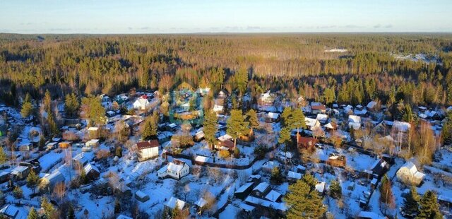 снт Балтика Куйвозовское сельское поселение фото