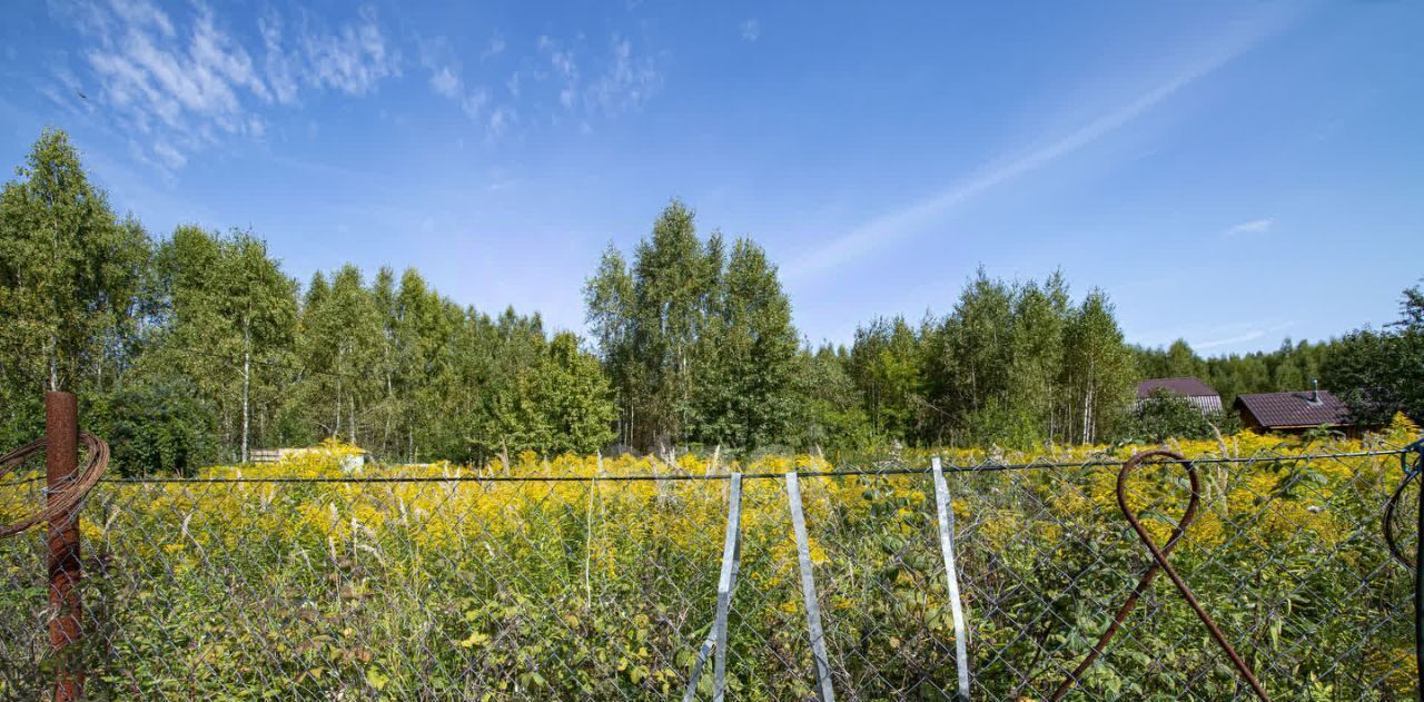 земля г Дзержинск снт Ивушка Богородский муниципальный округ фото 8