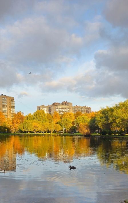 квартира г Санкт-Петербург метро Гражданский Проспект пр-кт Светлановский 93к/1 фото 8