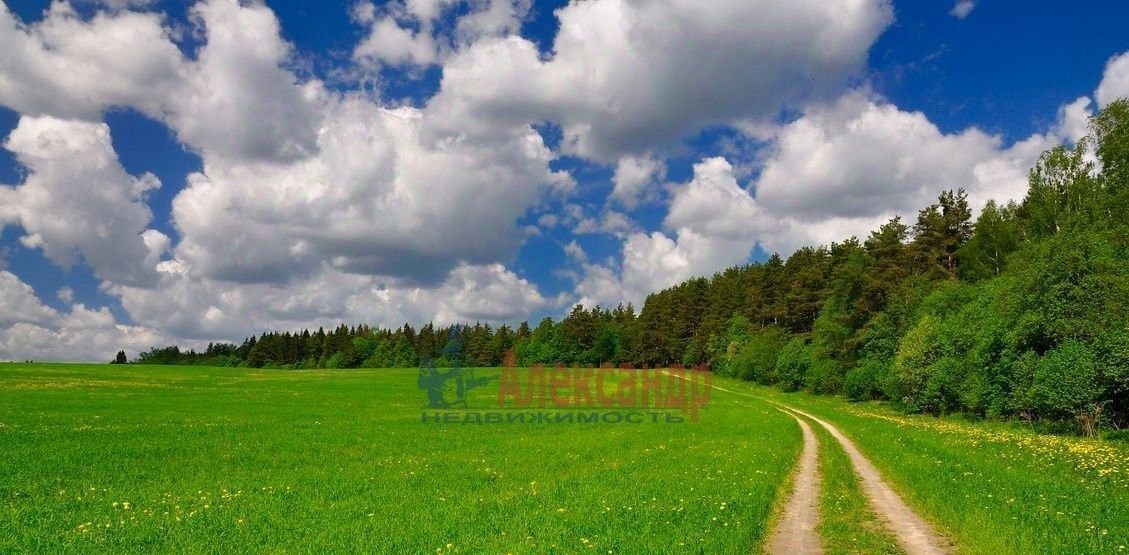 земля р-н Гатчинский д Поддубье фото 1