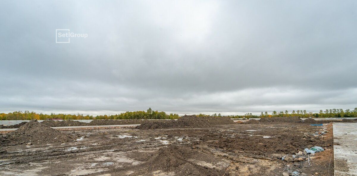 квартира г Санкт-Петербург метро Московская Пулковский Меридиан муниципальный округ фото 11