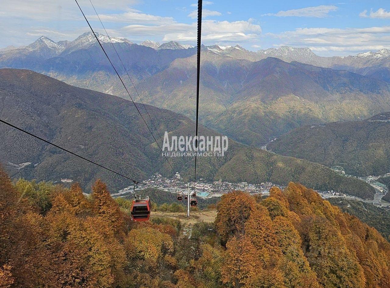 квартира г Сочи с Эстосадок ул. Эстонская, 81/4 фото 13