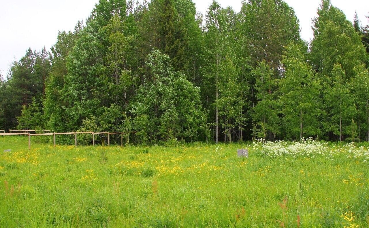 земля городской округ Ступино д Ольховка ул Черемушки 57 км, Михнево, Новокаширское шоссе фото 2