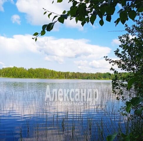 г Лахденпохья ул Малиновского 10 фото