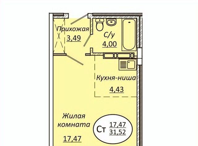 Берёзовая роща фото