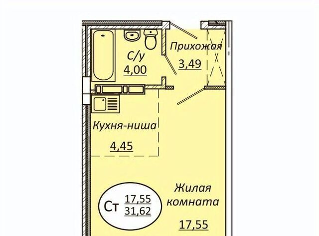 Берёзовая роща фото