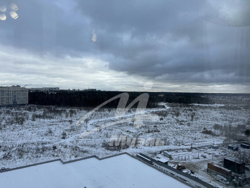 квартира городской округ Солнечногорск д Голубое пр-д Тверецкий 16к/2 фото 15