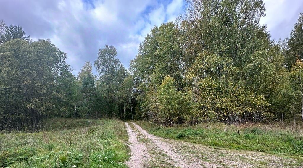 земля р-н Выборгский снт Надежда Каменногорское городское поселение фото 16