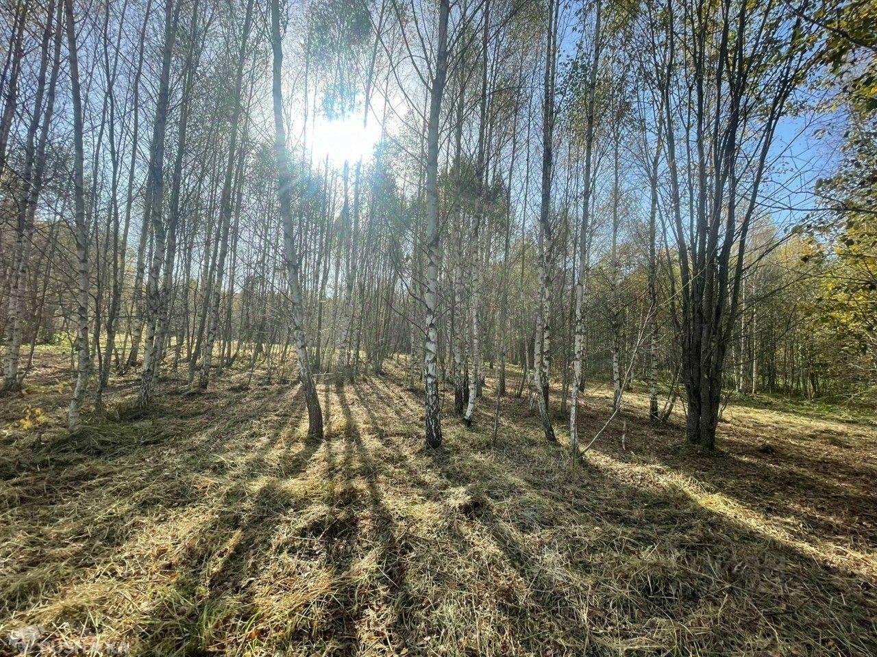 земля городской округ Волоколамский д Львово 17, Волоколамск фото 11