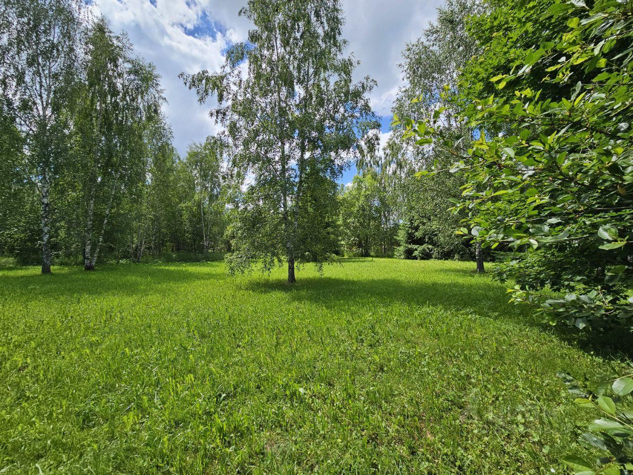 земля городской округ Можайский Бабынино, 3, Рогачево фото 8