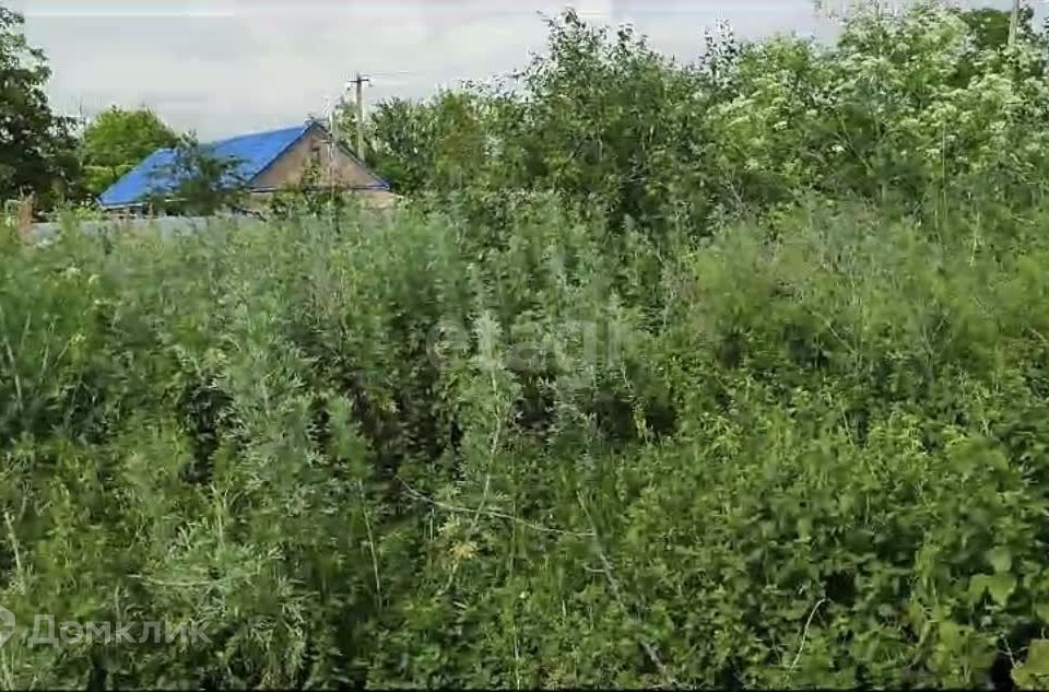 земля р-н Усть-Донецкий ст-ца Мелиховская ул Мерзлякова фото 3