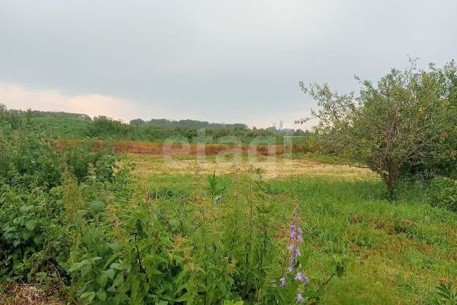 Академический Екатеринбург городской округ, Академический фото