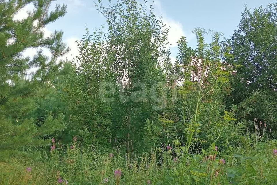 земля г Екатеринбург Академический Екатеринбург городской округ, Академический фото 5