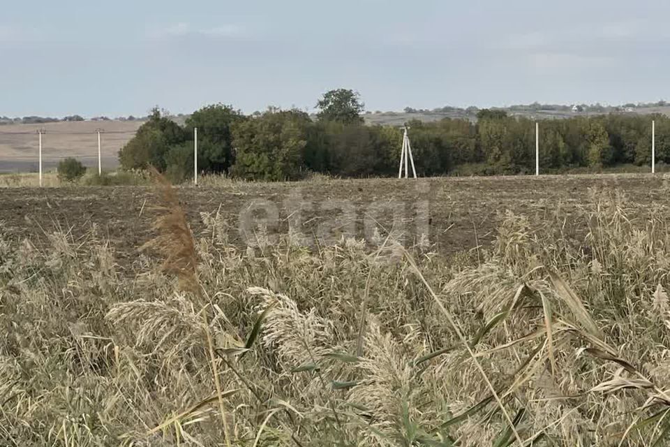 земля муниципальное образование Анапа, село Цибанобалка фото 7