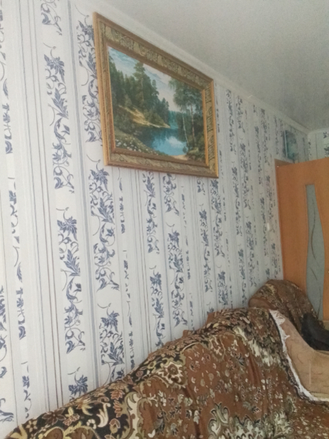 квартира г Курск р-н Центральный снт Крутой лог ул Орловская 24 фото 7