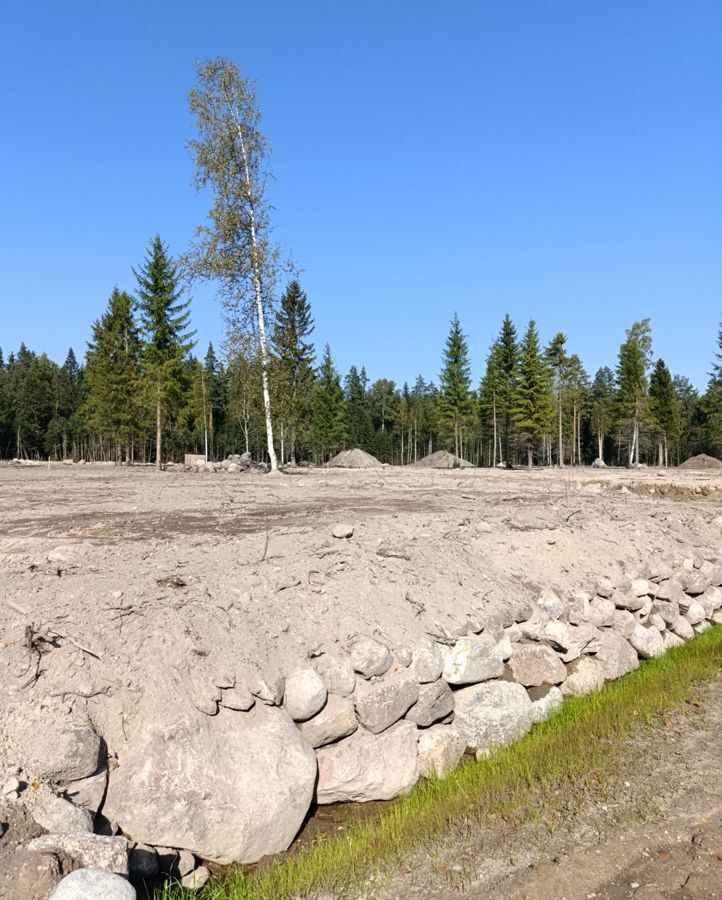 земля р-н Приозерский п Саперное Трасса Сортавала, 9801 км, Ромашкинское сельское поселение, садовое некоммерческое товарищество Ромашкинские усадьбы, ул. Александра Блока фото 26