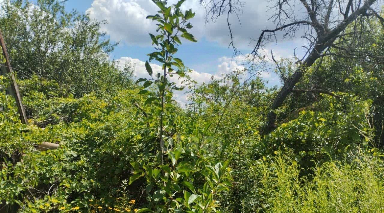 дом р-н Белгородский с Стрелецкое снт Сокол садоводческое товарищество фото 6